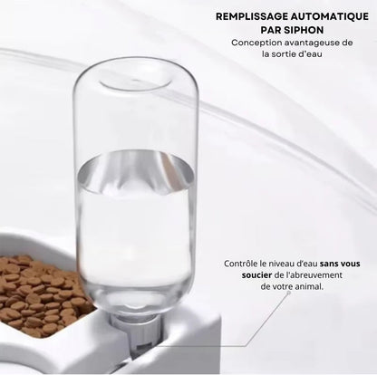 Bol 2 en 1 pour animaux de compagnie (petits chiens et chats)